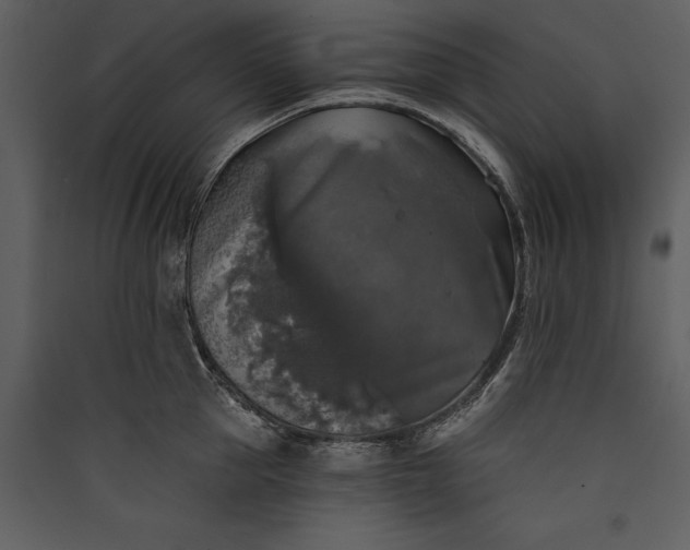 X0000089920953200707131407