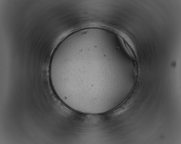 X0000089920954200707131407
