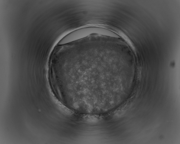X0000089920955200707131408