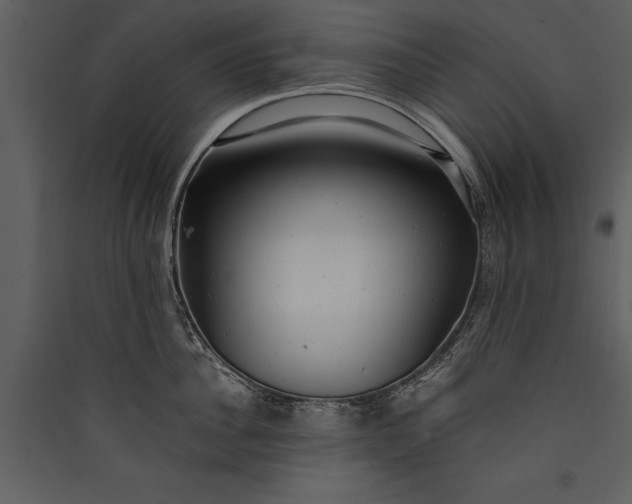 X0000089920956200707131408