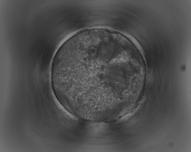 X0000089920957200707131408