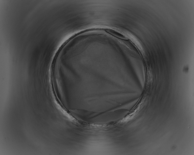 X0000089920958200707131408
