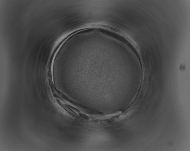 X0000089920960200707131408