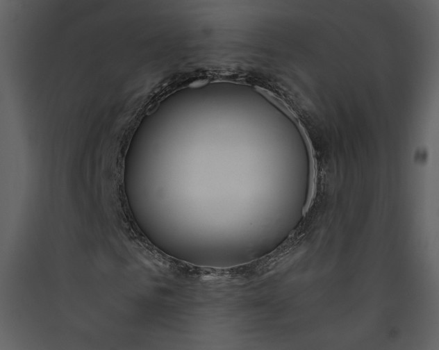 X0000089920961200707131407