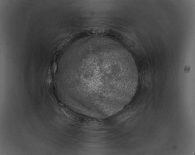 X0000089920962200707131407