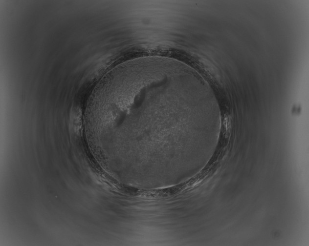 X0000089920963200707131407