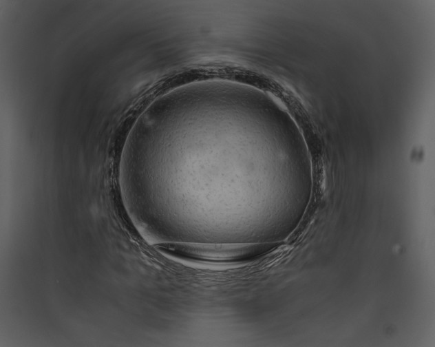 X0000089920965200707131407