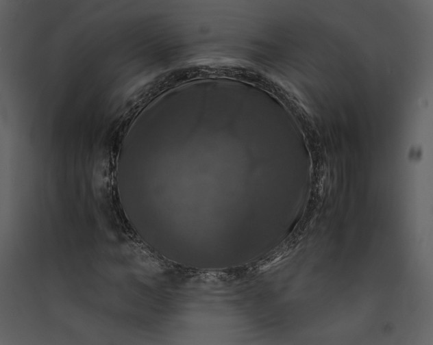 X0000089920966200707131407
