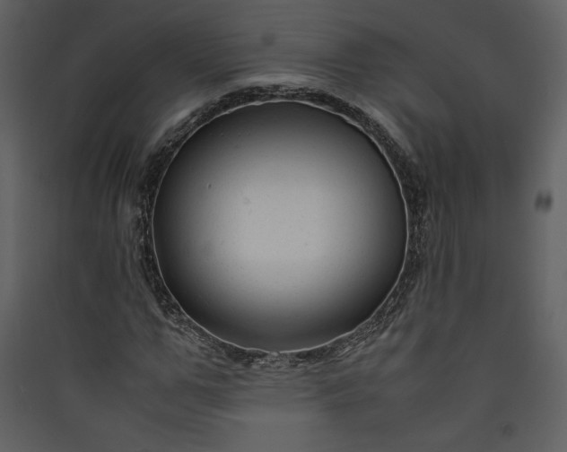 X0000089920967200707131407