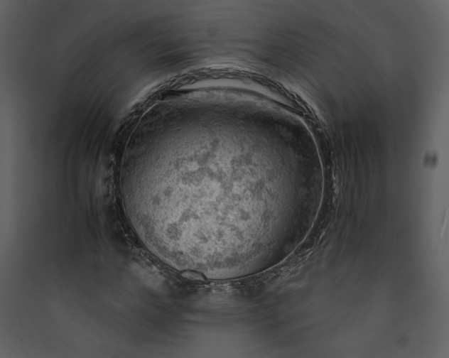 X0000089920968200707131407