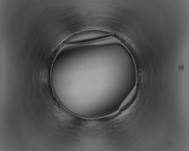 X0000089920969200707131407