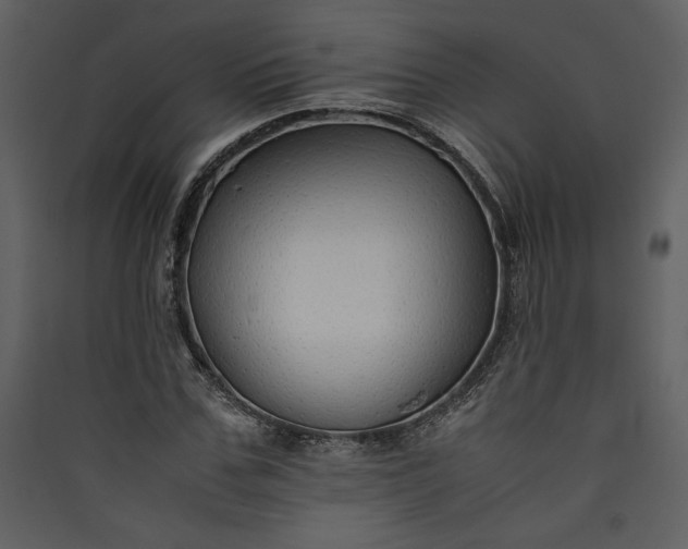 X0000089920971200707131407