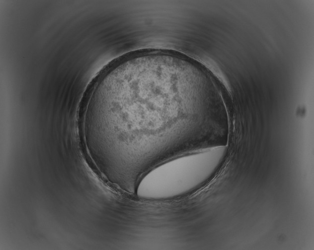 X0000089920972200707131407