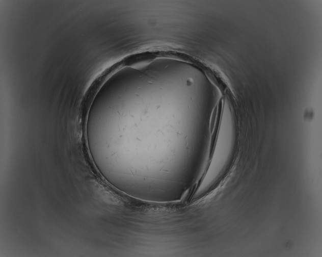 X0000089920973200707131407