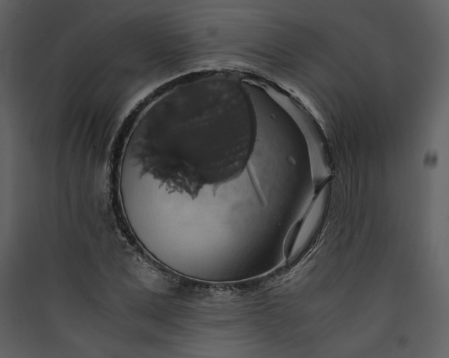 X0000089920975200707131407