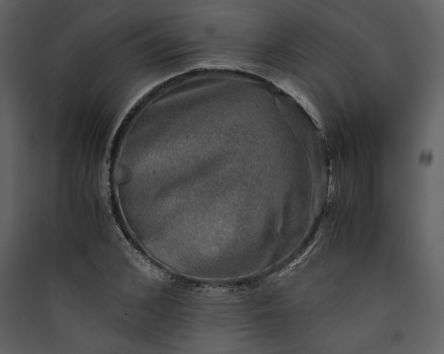 X0000089920976200707131407