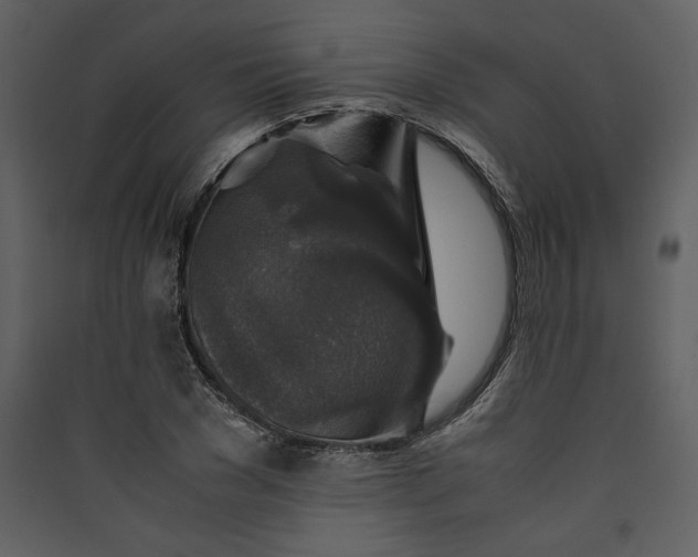 X0000089920977200707131407