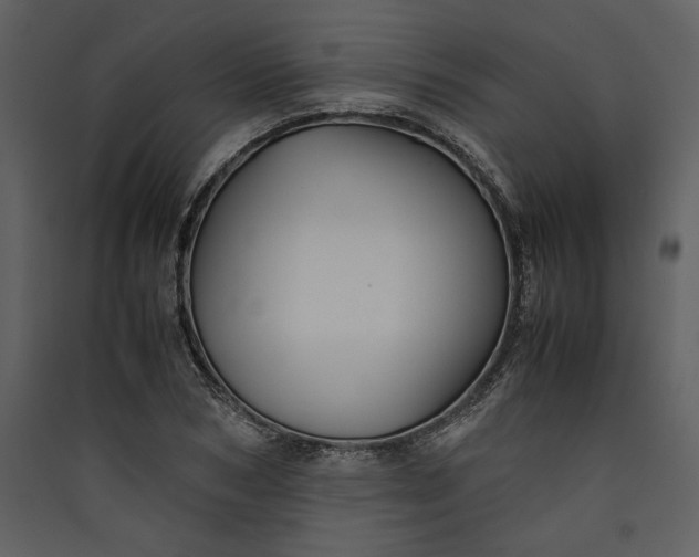 X0000089920978200707131407