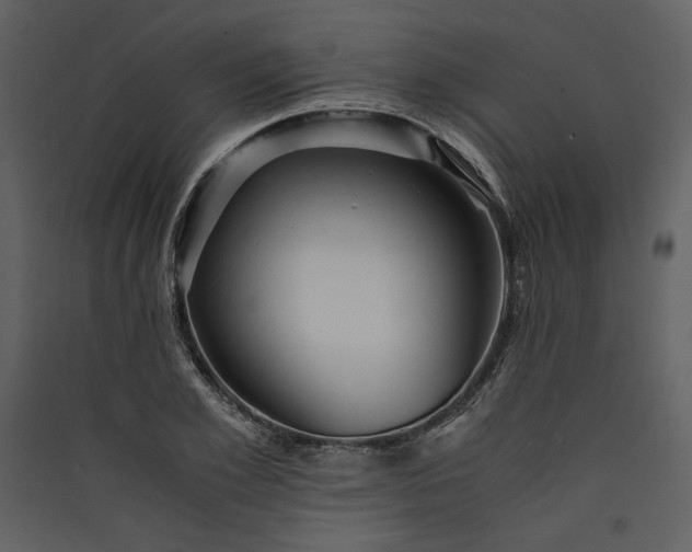 X0000089920981200707131407