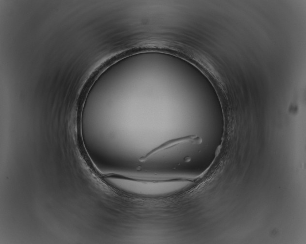 X0000089920984200707131407