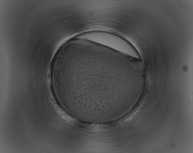 X0000089920987200707131407