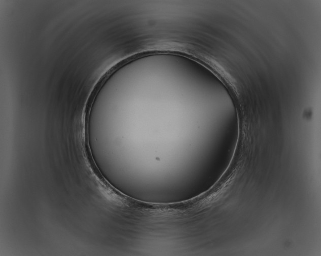 X0000089920988200707131407