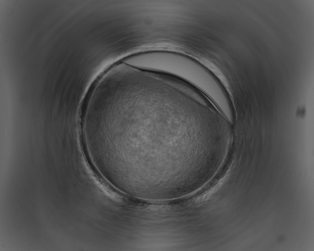 X0000089920989200707131407