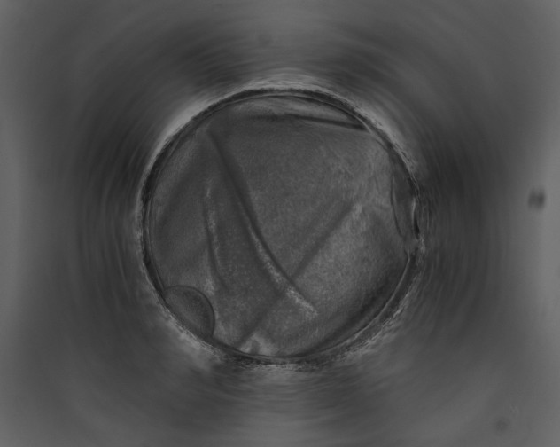 X0000089920990200707131407