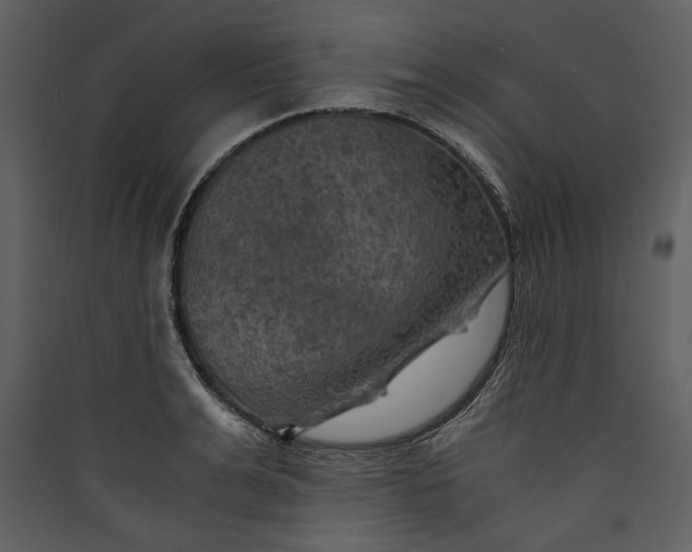 X0000089920991200707131407