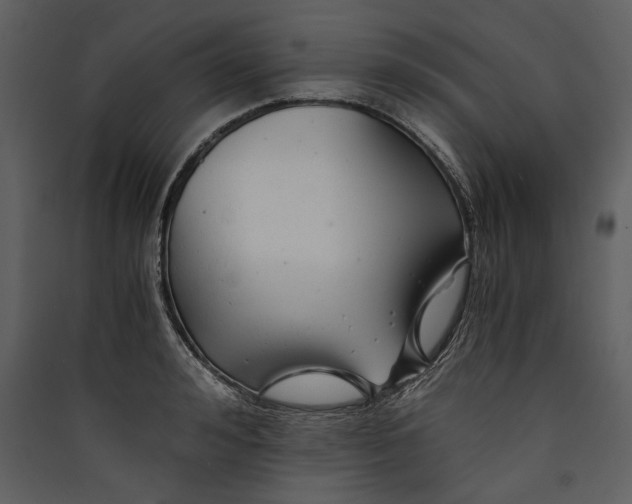 X0000089920992200707131407