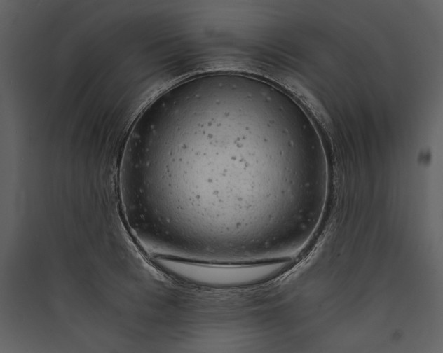 X0000089920993200707131407
