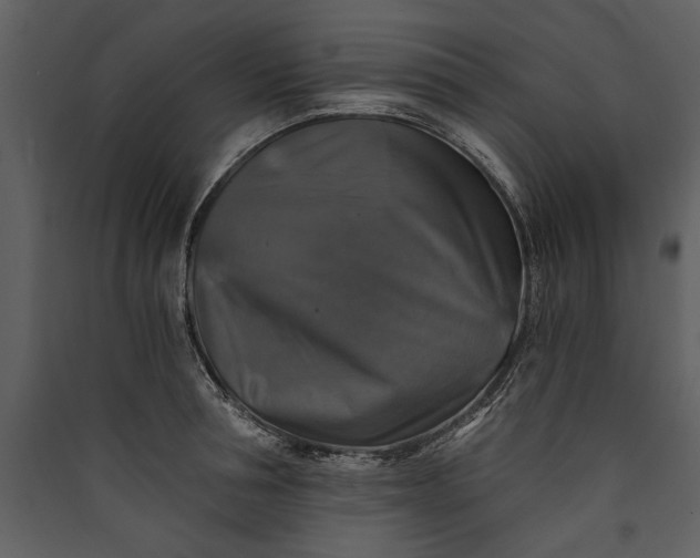 X0000089920994200707131407