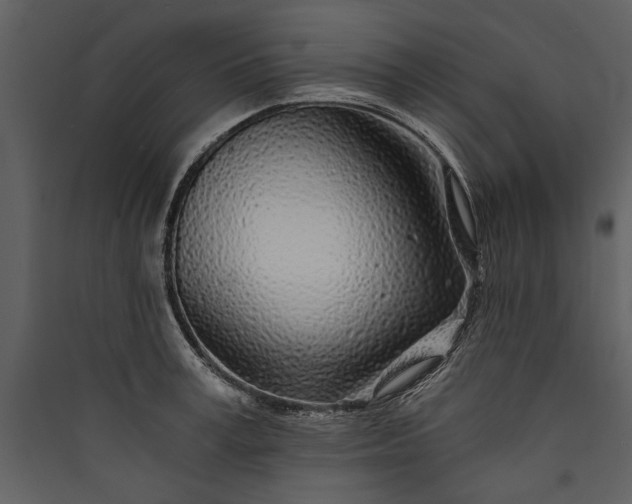 X0000089920995200707131407