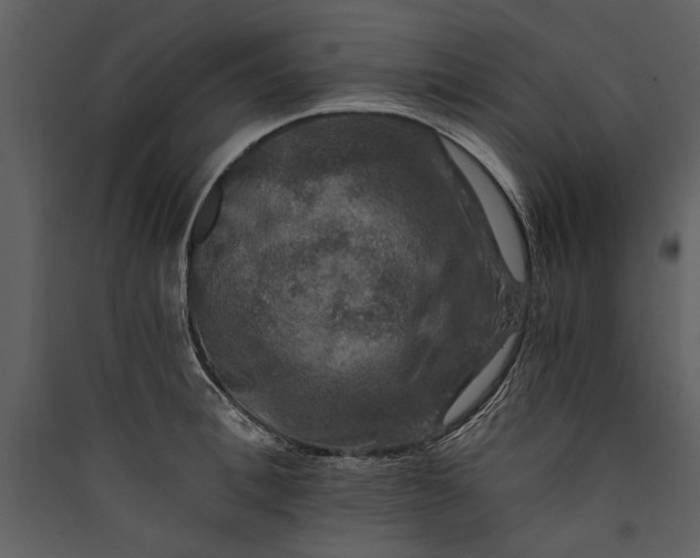 X0000089920996200707131407