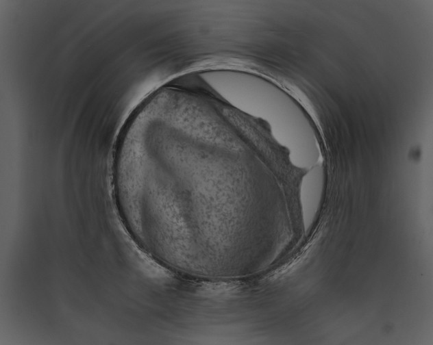 X0000089920997200707131407