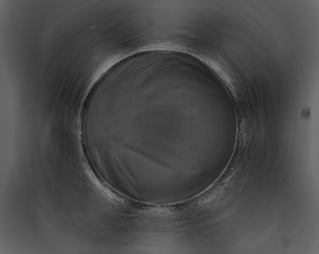 X0000089920998200707131407