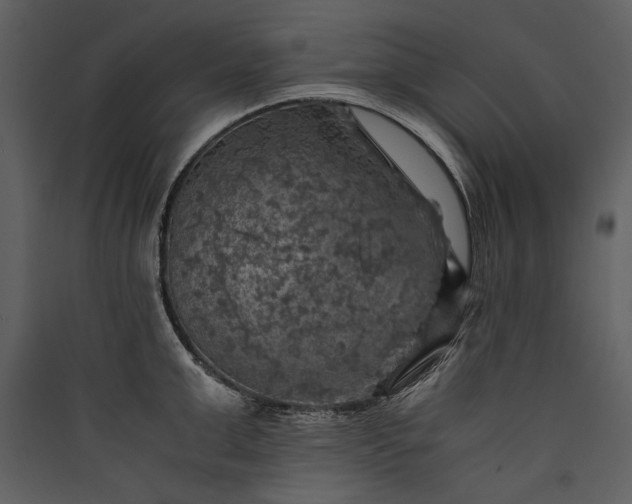 X0000089920999200707131406