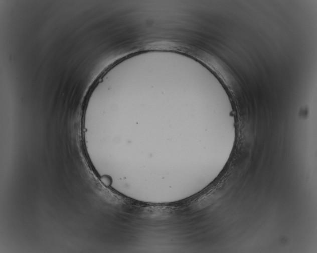 X0000089921000200707131406