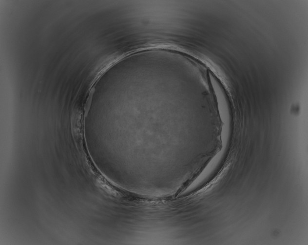 X0000089921001200707131406