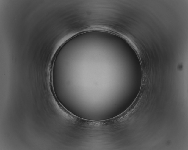 X0000089921003200707131406