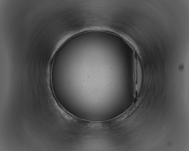 X0000089921006200707131406