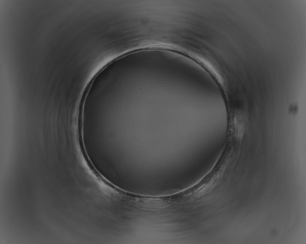 X0000089921007200707131406