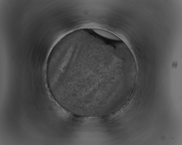 X0000089921008200707131406