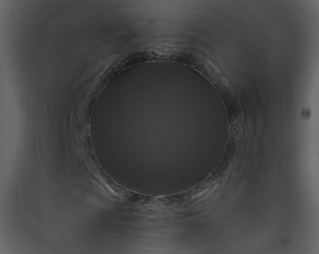 X0000089921009200707131406
