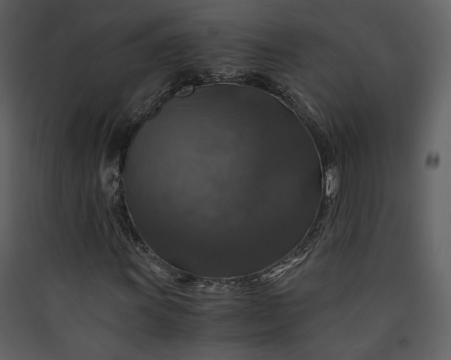 X0000089921011200707131406