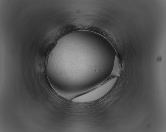 X0000089921012200707131406