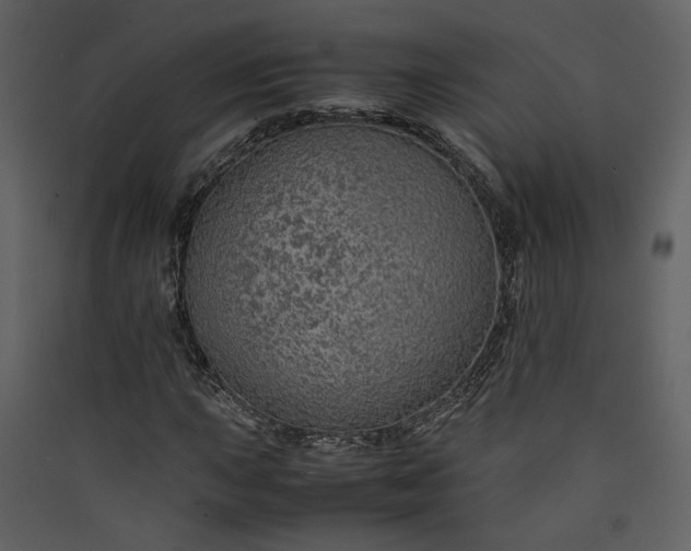 X0000089921015200707131406