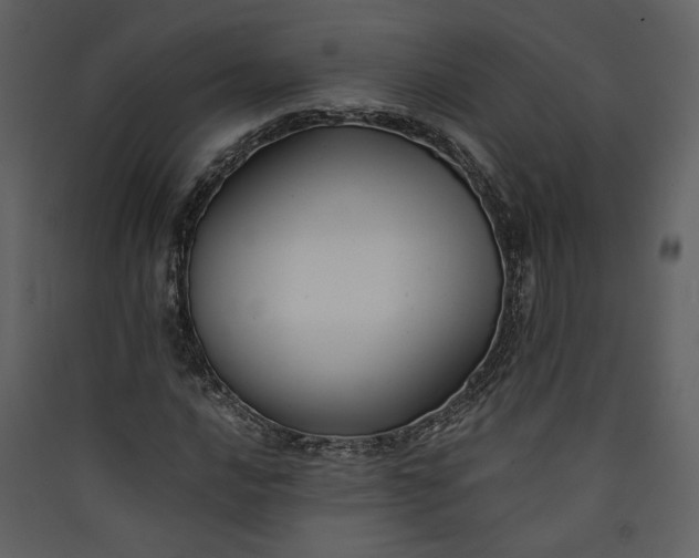 X0000089921016200707131406
