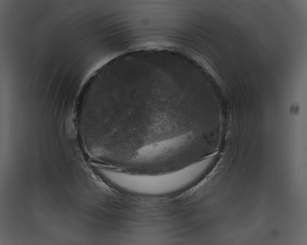 X0000089921018200707131406