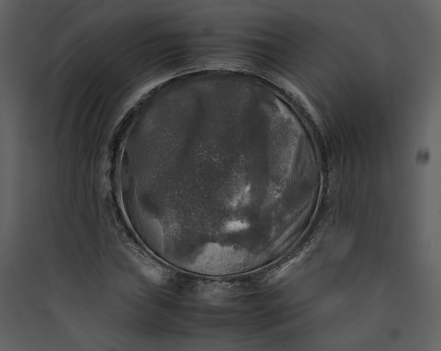 X0000089921019200707131406